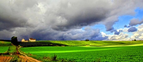 Licht en schaduw 