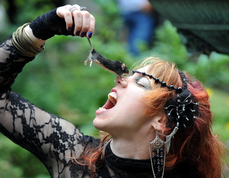 Summer Darkness 2011.