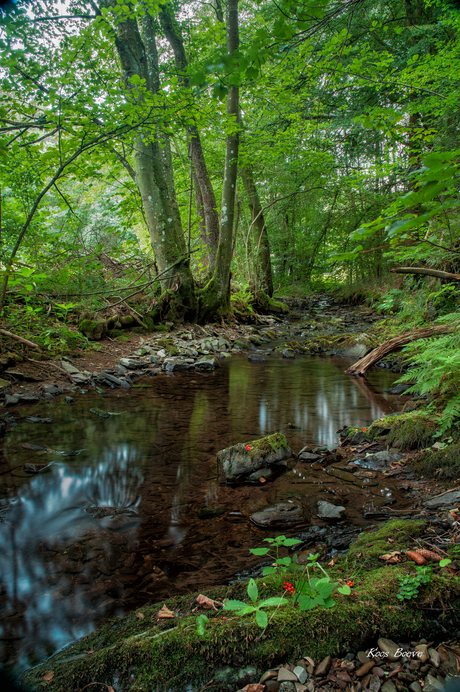 Beek Eifel Duitsland