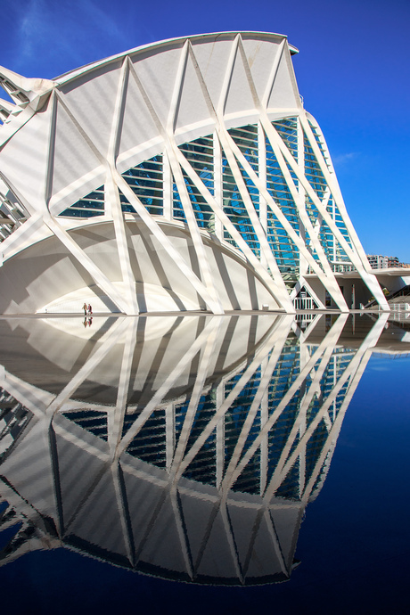 El museu de les Ciènces Príncipe Felipe 1