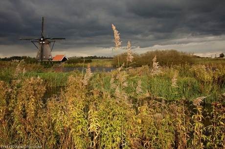 kinderdijk