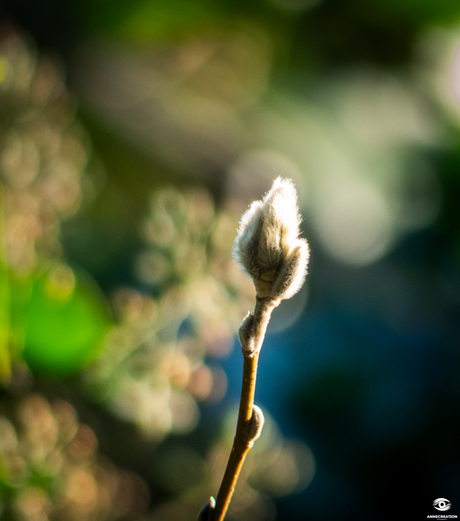 Schilderen met licht
