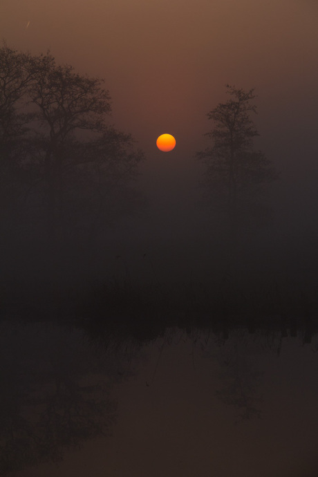 eerste zonnestralen van de dag