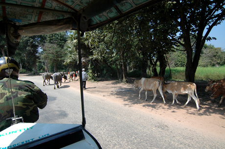 Onderweg in Cambodja