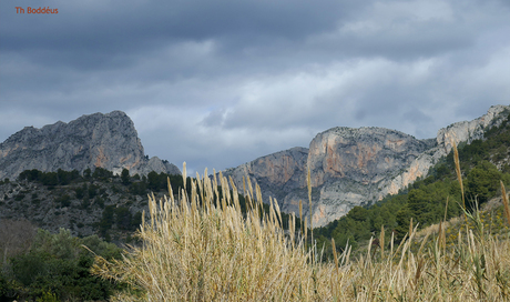 2302120998mg  landinwaarts aan de Costa Blanca