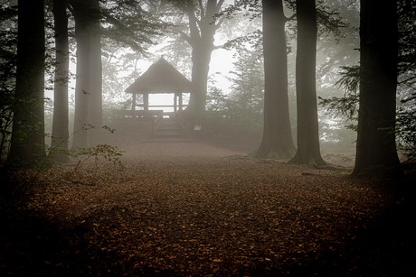 Natuurmonument in beeld