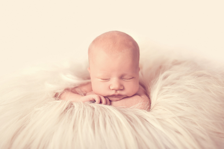 Laure newbornfotografie