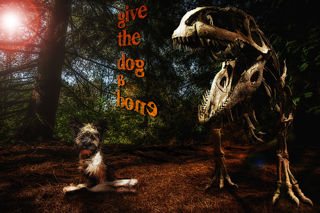 Give the dog a bone