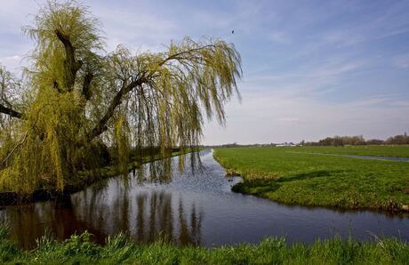 Polder bij Reeuwijk