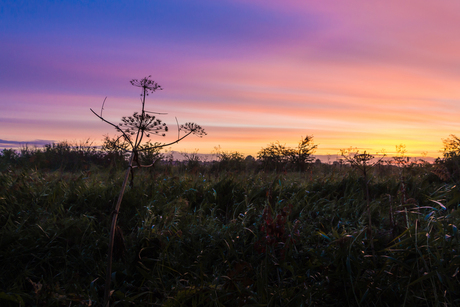 zonsopkomst