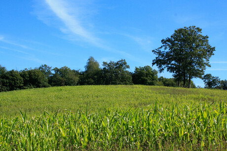 A splended autumn day at Bordeaux, France