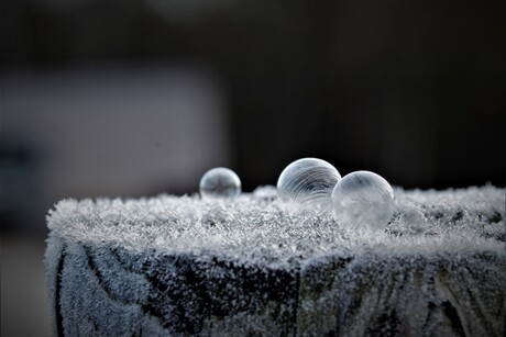 bevroren zeepbellen