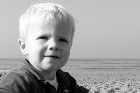 zoon op strand