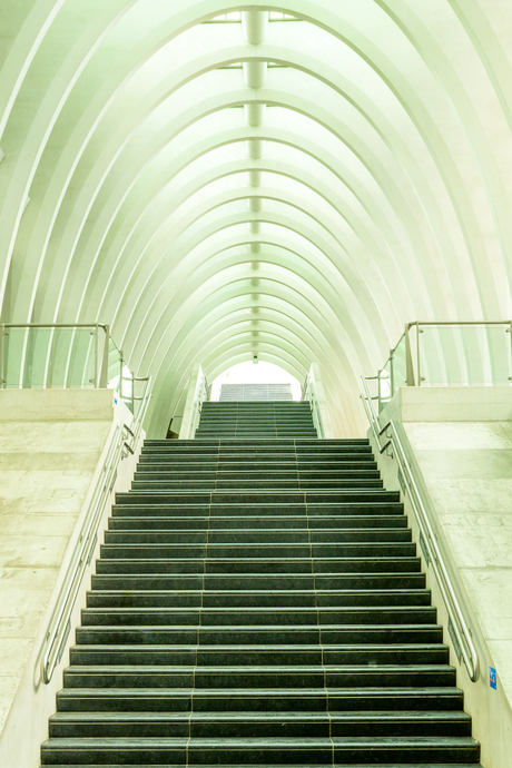 Stairway to a new life