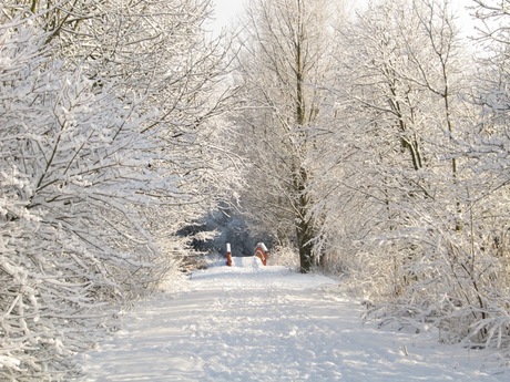 Natuurpark