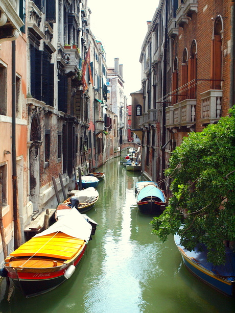 Kijkje in Venetië