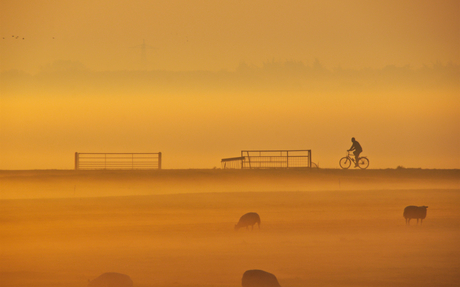 fietsen in de mist 3