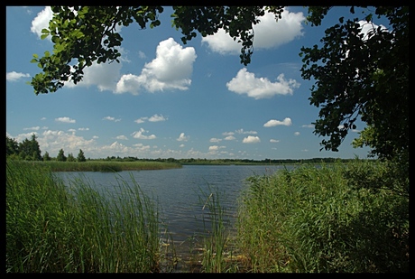 Naardermeer, zicht vanaf de Meerkade