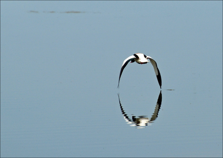 de cirkel is rond......