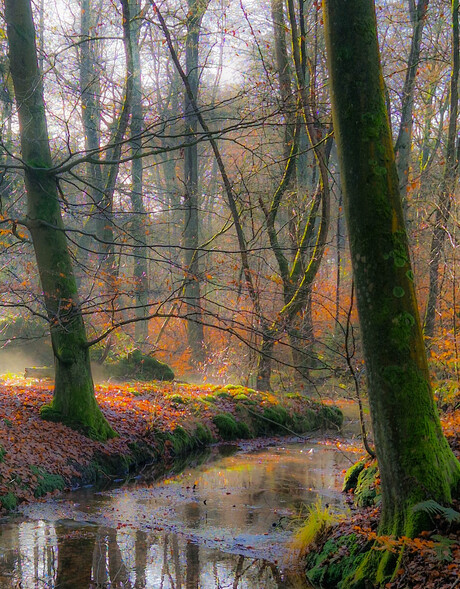 Vallei Beekhuizense beek  (Veluwe)