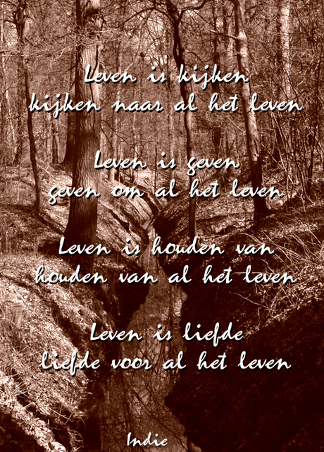 Leven is..