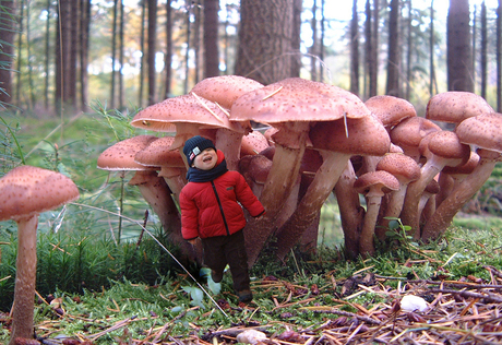 Mijn favoriete kabouter