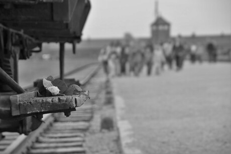 Auschwitz Birkenau