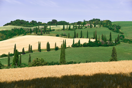 Toscaans landschap 2