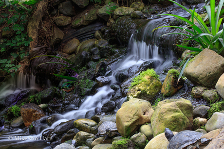 Waterval