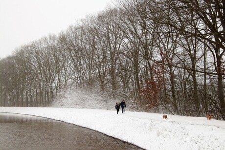 wandelen met de hondjes