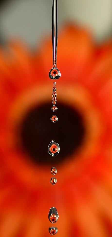 Waterdruppels "Drops of Flowers"