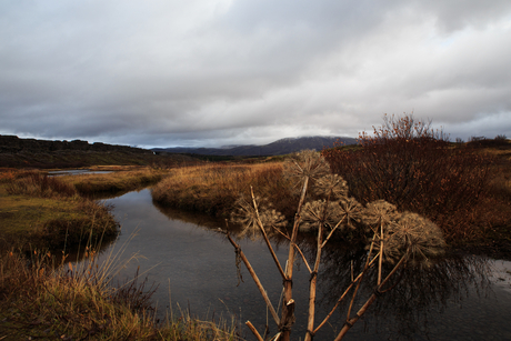 Iceland nature