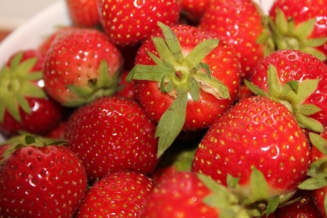 De zomerkoningjes, de aardbij