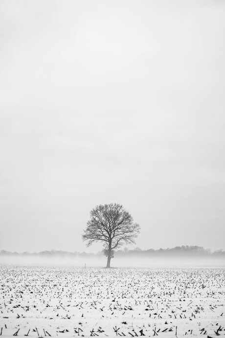 minimalistische landschap