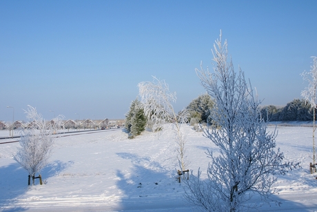 Winter in De Held