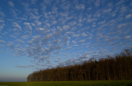 Wolken en bos in Duitsland