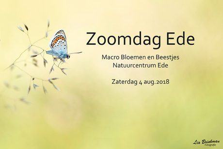 Zoomdag 2018 = Vol