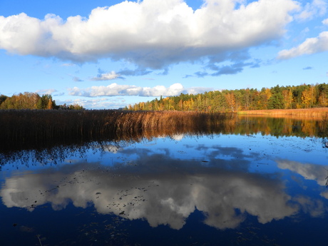 stukje Finse natuur