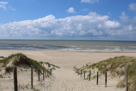 Duinen richting de zee 