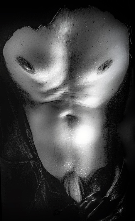 Body