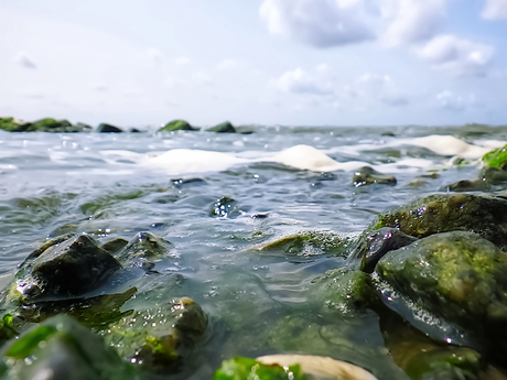 Hoekje Waddenzee