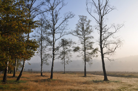 herfst