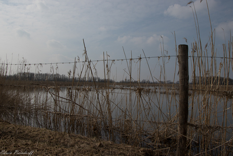 Bescherming tegen het water