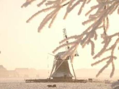 Siberisch Friesland