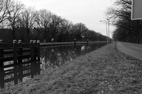 Om en bij "Brug Groene woud"