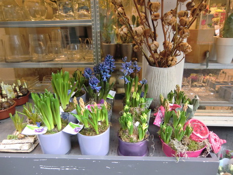 Zin in het voorjaar....