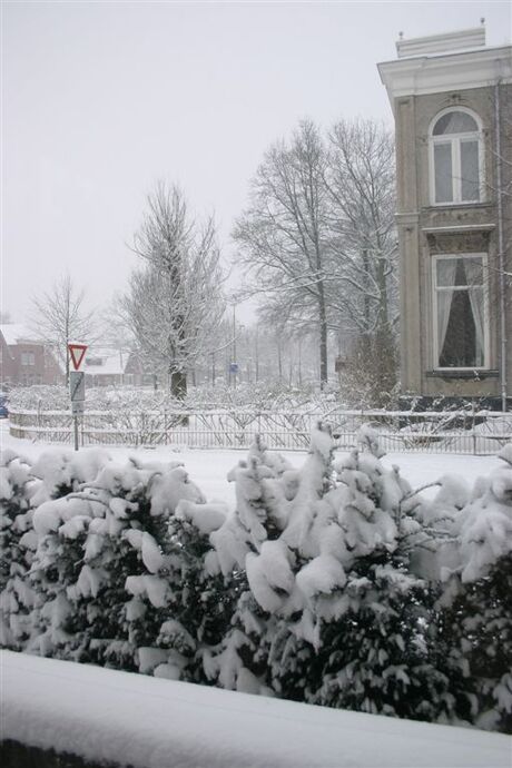 20050302 Finale sneeuw0010