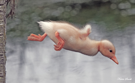 "Big jump..."
