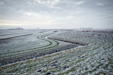 Winters polderlandschap