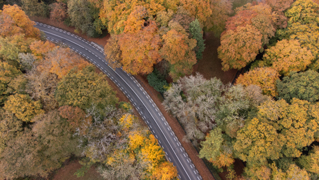 Herfst op z'n mooist 